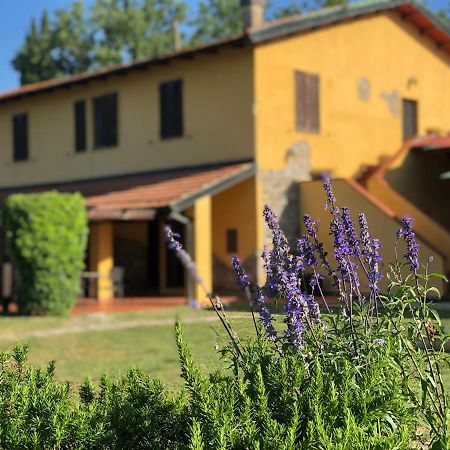 Agriturismo Santa Lorica ซัสเซ็ตตา ภายนอก รูปภาพ
