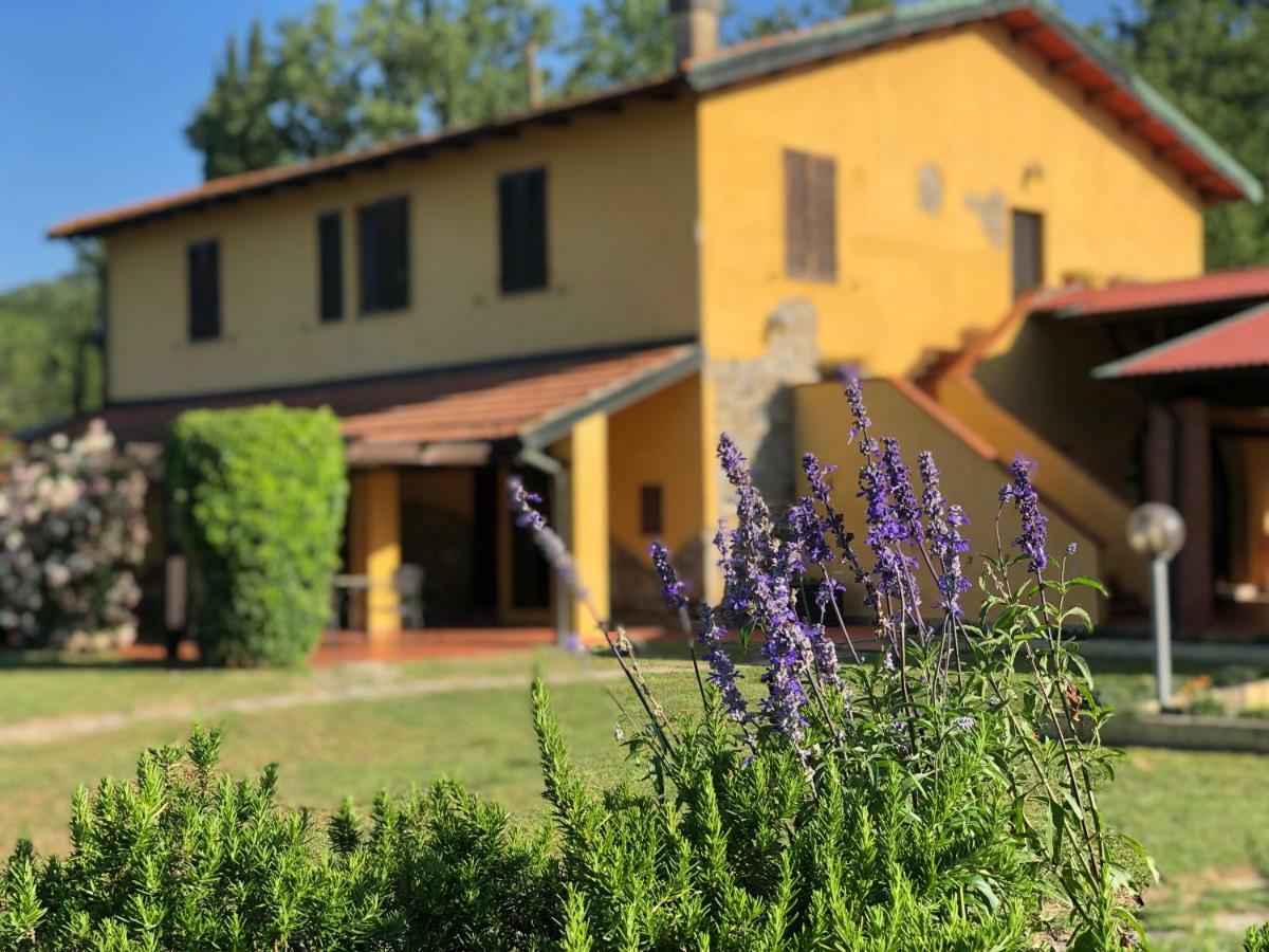 Agriturismo Santa Lorica ซัสเซ็ตตา ภายนอก รูปภาพ