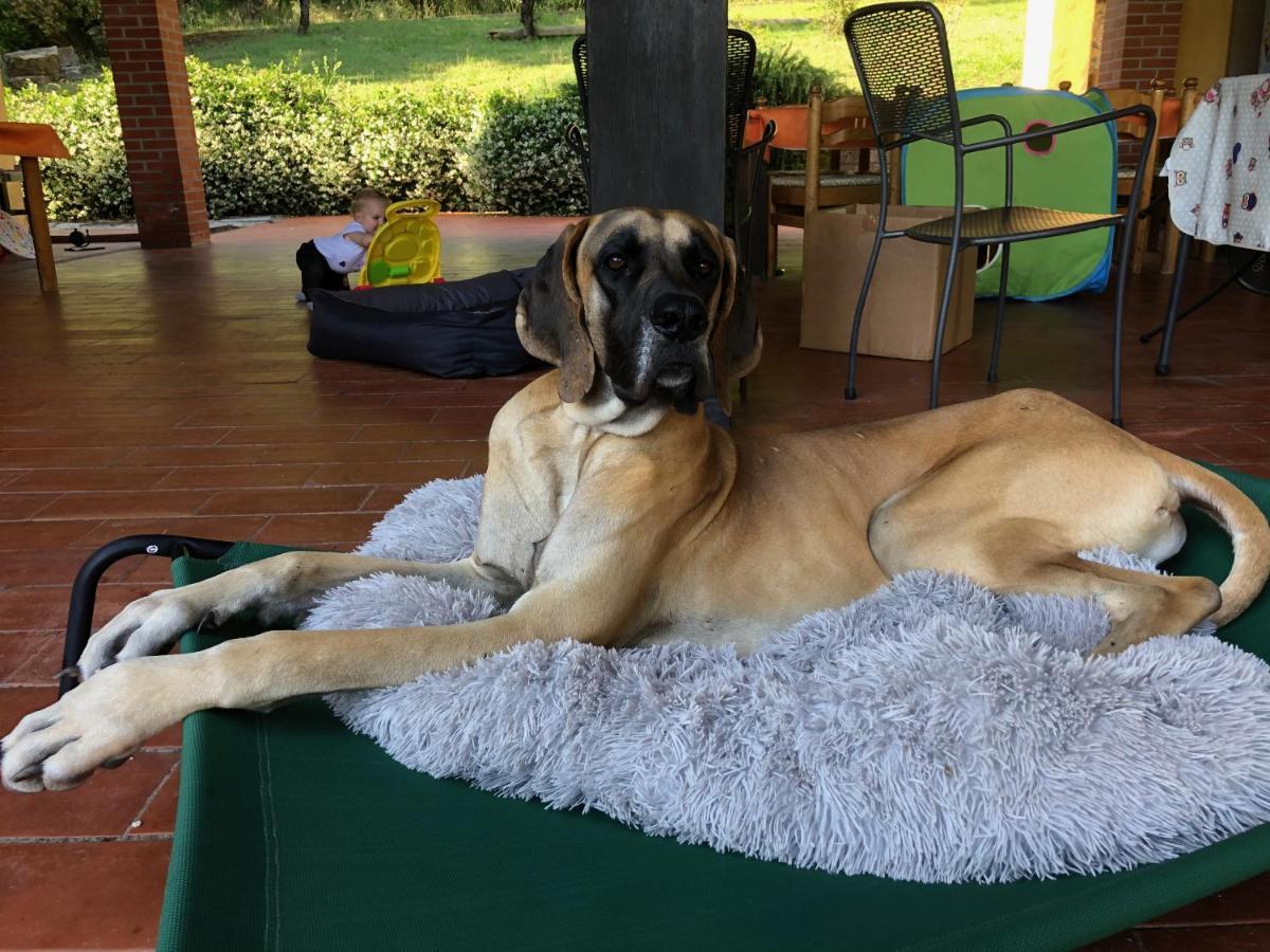 Agriturismo Santa Lorica ซัสเซ็ตตา ภายนอก รูปภาพ