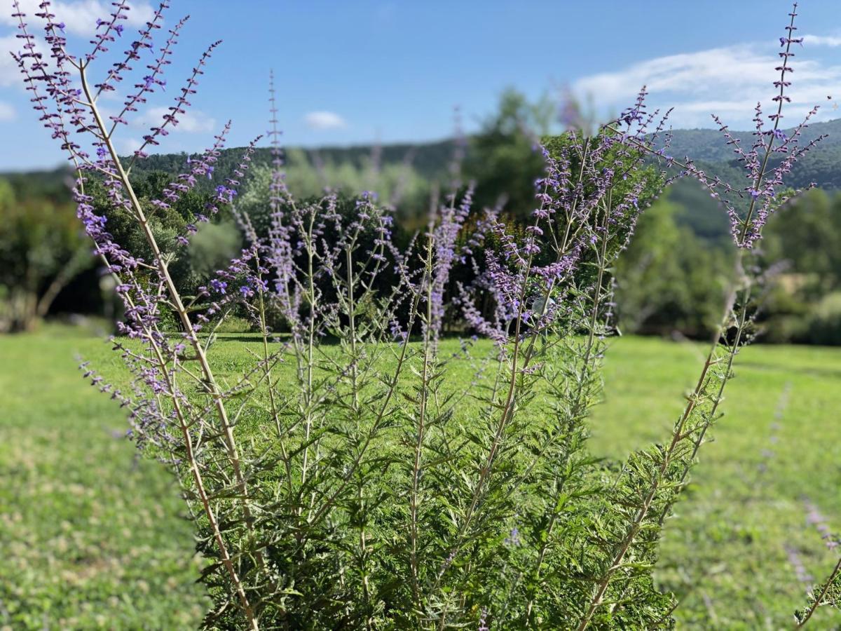 Agriturismo Santa Lorica ซัสเซ็ตตา ภายนอก รูปภาพ